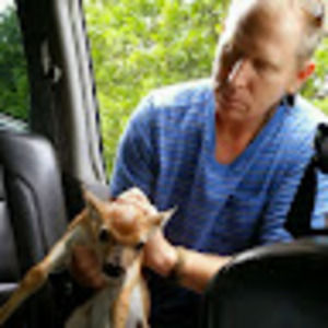 Meet your Posher, Steve